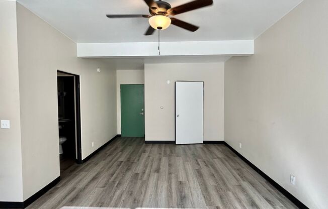 Studio, 1 bath, 400 sqft, $1,135, Unit 203