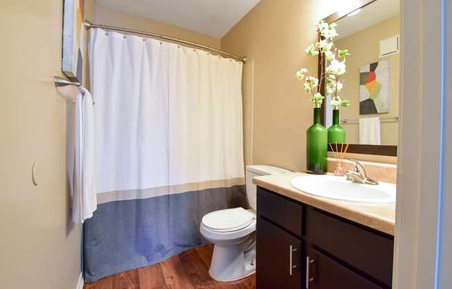 a bathroom with a toilet sink and shower  at Riverset Apartments, Tennessee, 38103