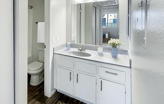 a bathroom with a sink and a mirror