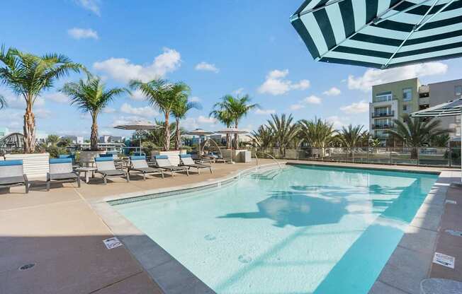 A large outdoor swimming pool surrounded by palm trees and lounge chairs.