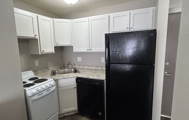 Studio, 1 bath, 480 sqft, $675, Unit 207