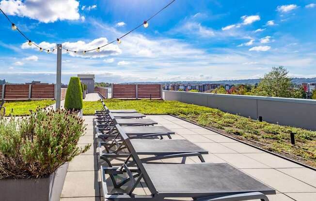 A sunny day at a rooftop with benches and a view of the city.