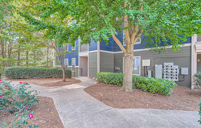 A tree in a landscaped area in front of a building.