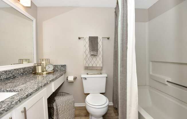 a bathroom with a white toilet next to a bathtub