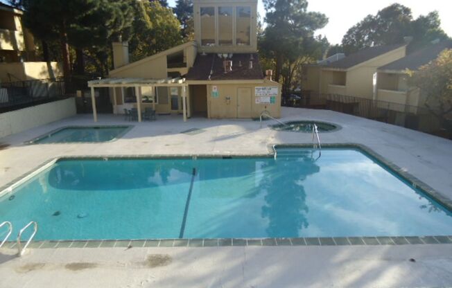 1333 North Camino Alto #244