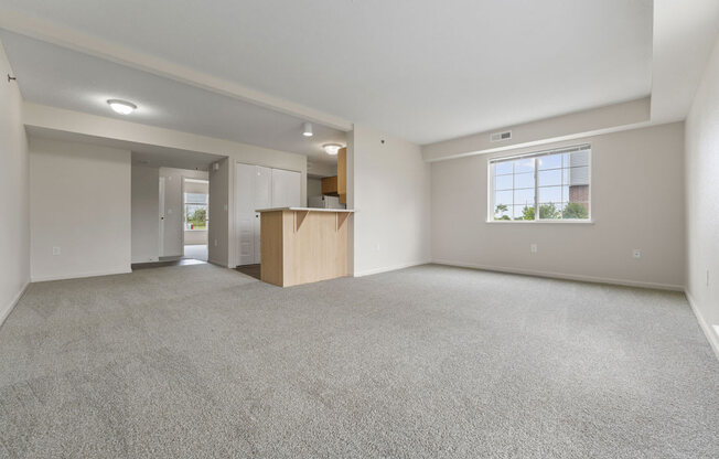 End style enlarged living room and extra window  at Hunters Pond Apartment Homes, Champaign, 61820