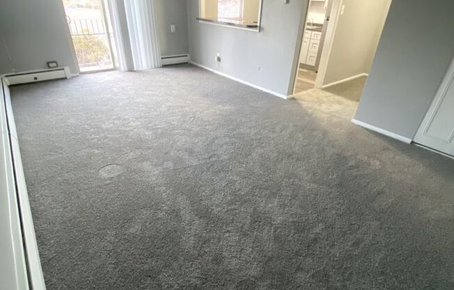 1 bed, 1 bath, 700 sqft, $1,350, Unit B310