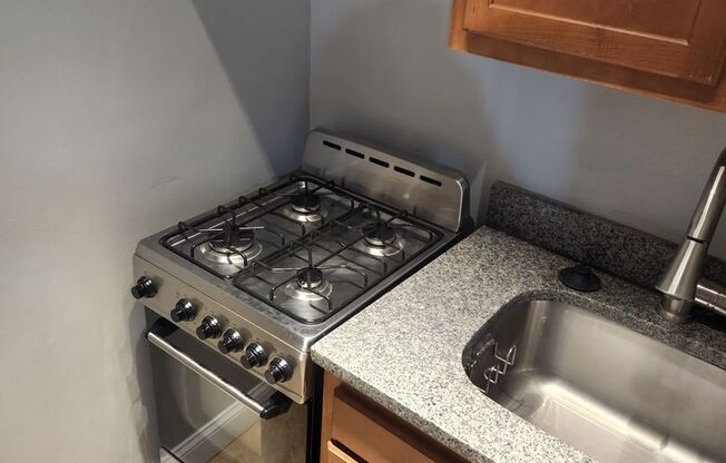 Studio, 1 bath, 305 sqft, $1,550, Unit 4