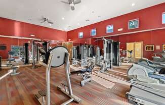 A gym with a variety of equipment including treadmills, weights, and a rowing machine.