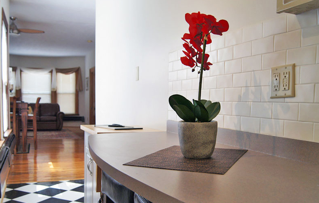 1 bed, 1 bath, 800 sqft, $1,685, Unit 719-3 (Furnished)