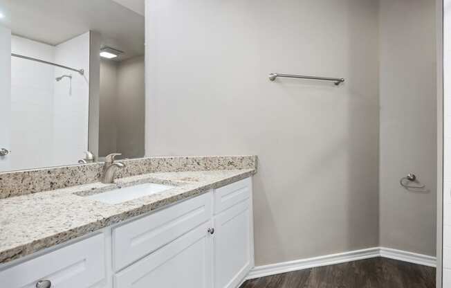 a bathroom with a sink and a mirror