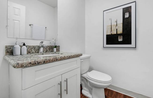 a bathroom with a sink and a toilet