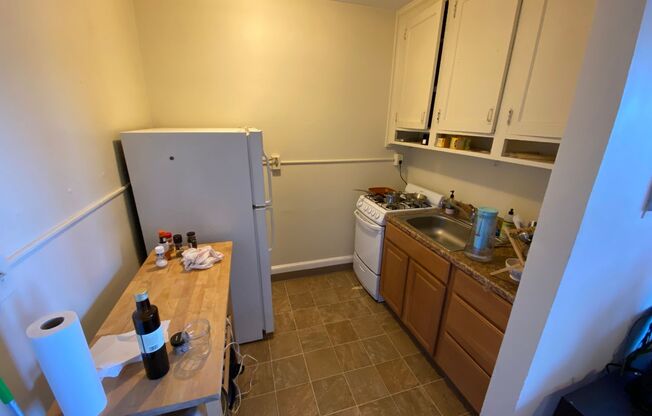 Studio, 1 bath, 300 sqft, $1,500, Unit Unit 609