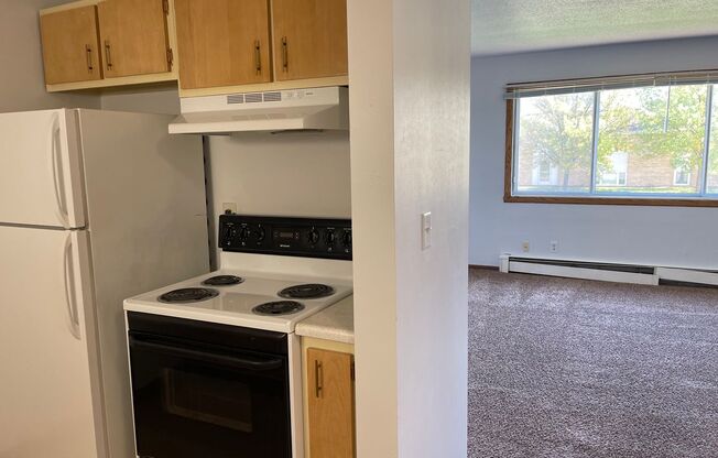 2 beds, 1 bath, 550 sqft, $695, Unit 1119-206