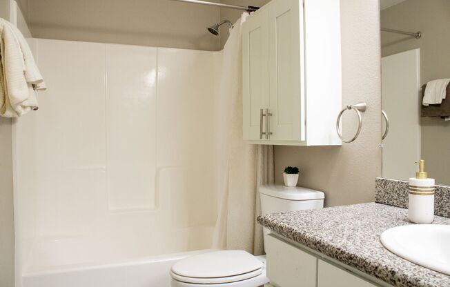 Studio, 1 bath, 446 sqft, $1,950, Unit 202