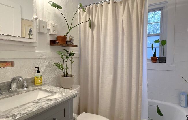 1 bed, 1 bath, 800 sqft, $1,950, Unit 869-14