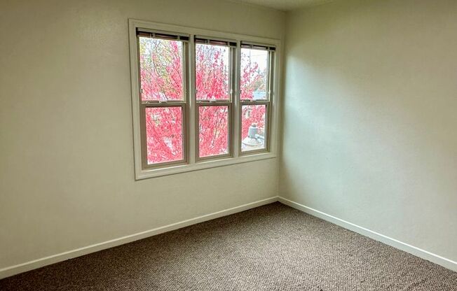 2 beds, 1 bath, $1,375, Unit 24-921