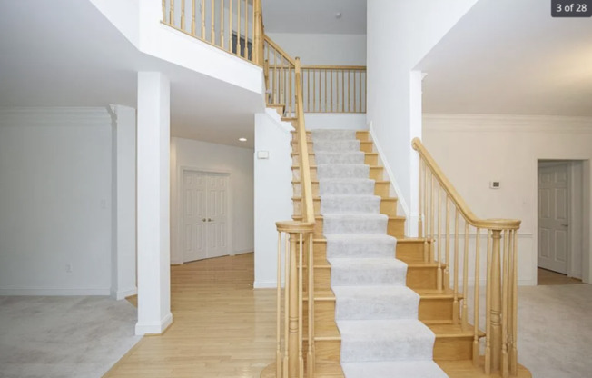 317 CHAMBORLEY DR