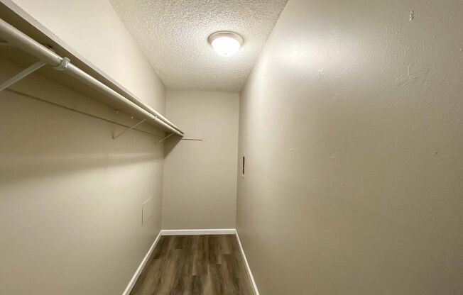 Imperial Beach Palms