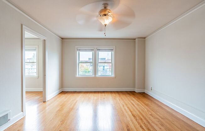 Studio, 1 bath, 475 sqft, $1,399, Unit 503