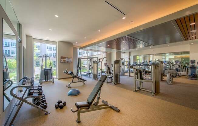 a gym with weights and cardio equipment in a building with glass doors