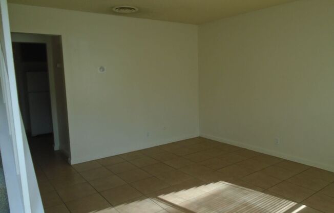 PALM ST 2231 A-L