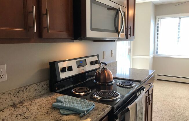 1 bed, 1 bath, 700 sqft, $1,345, Unit 1950108R