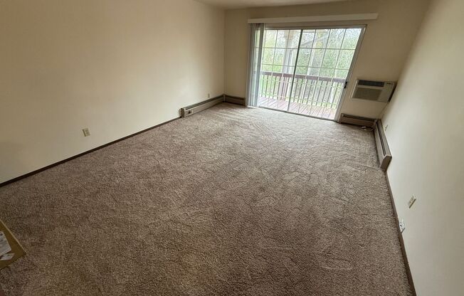 Williamsburg Flats 214