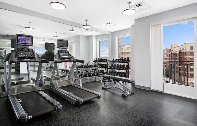 A gym with treadmills, weights, and a view of the city.