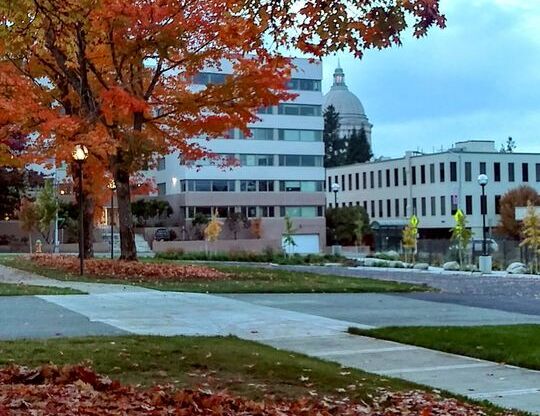 2 beds, 1 bath, 777 sqft, $1,550, Unit 105