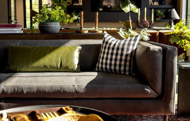 a couch with pillows in a living room with plants