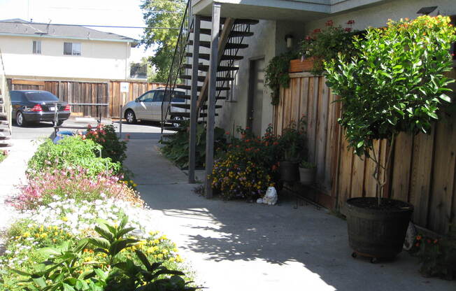 Hollis Avenue