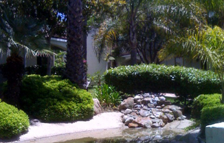 Community Pool/Spa