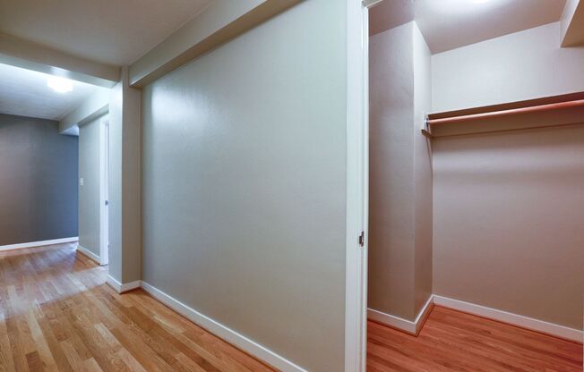 1 bed, 1 bath, 550 sqft, $1,350, Unit 206