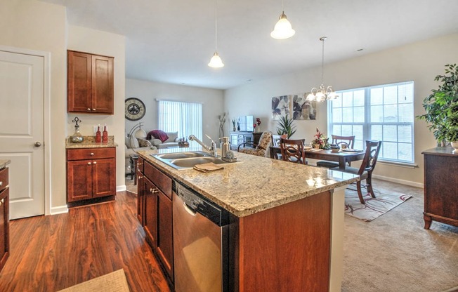 Double Stainless Steel Sink at Townhomes at Pleasant Meadows, Lancaster, NY 14086