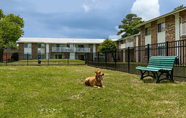 Pet Friendly Community