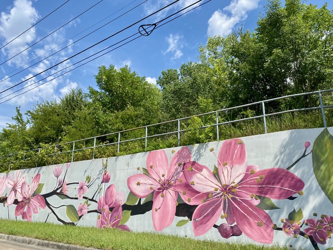 Randol Mill Road Murals in Woodhaven, TX