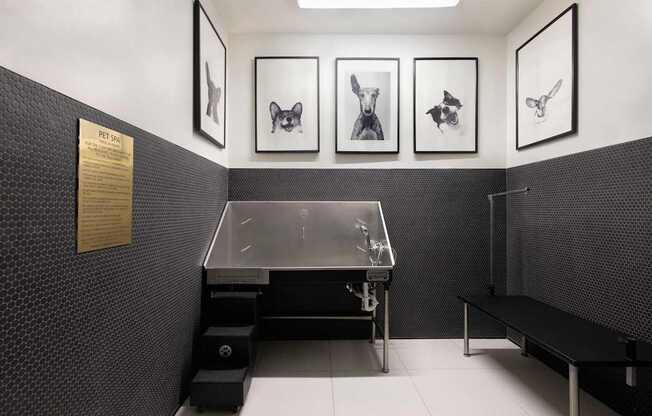 Pet Spa and Wash at The Marc Luxury Apartments in Palm Beach Gardens FL