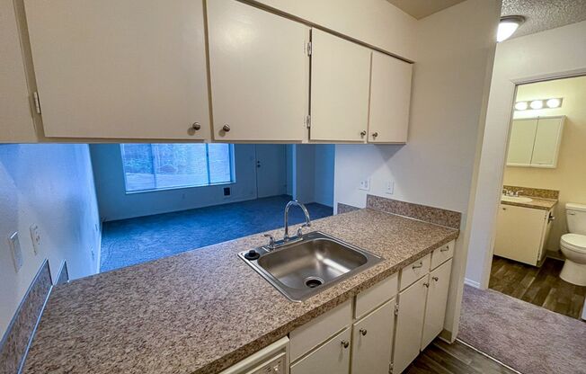 Studio, 1 bath, 300 sqft, $1,050, Unit 299-01