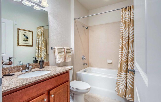 Furnished bathroom