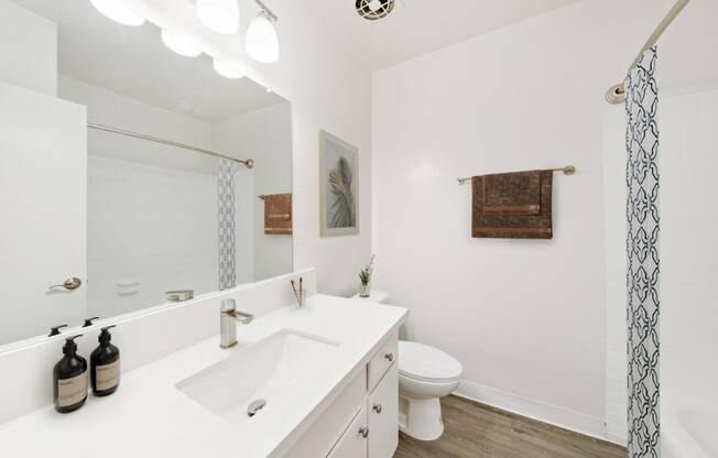 a bathroom with a sink and a toilet and a mirror