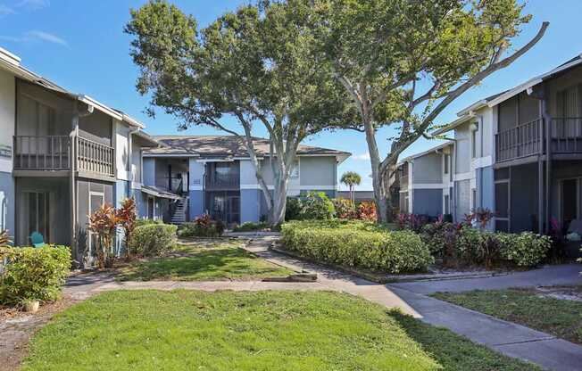 A tree in the middle of a grassy area in front of apartment buildings.