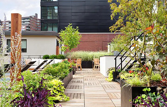 1 bed, 1 bath, $6,250, Unit 1P