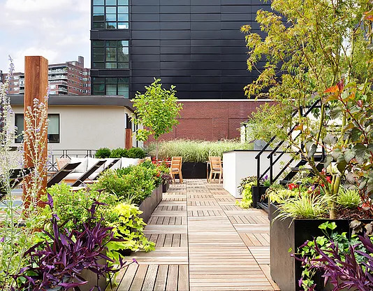 1 bed, 1 bath, $6,250, Unit 1P