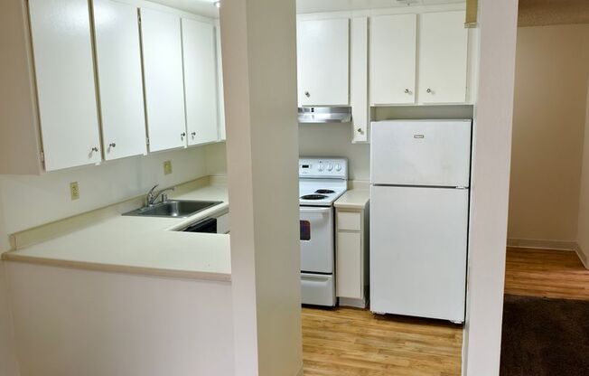 1 bed, 1 bath, 531 sqft, $1,600, Unit 161122