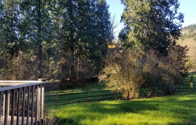 Beautiful MIL unit 2 bed 1 bath deck Nestled Squak and Cougar Mt (Issaquah)