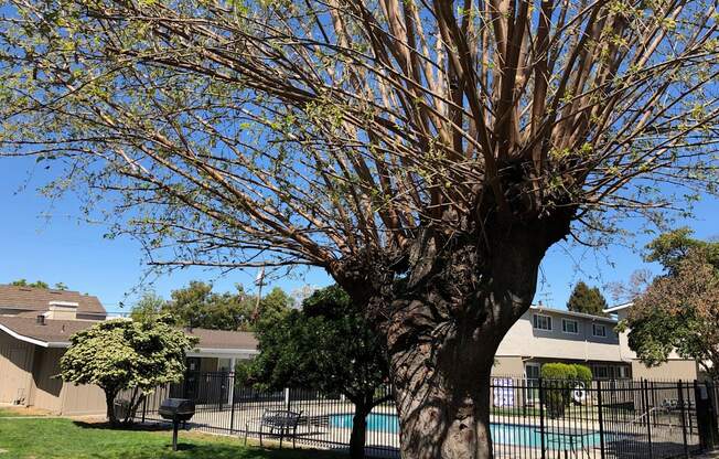 Welcome to Del Prado I Apartments