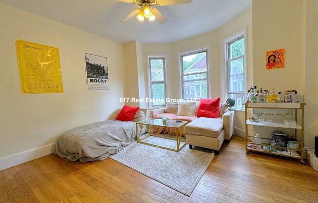 Unique Coolidge Corner apartment