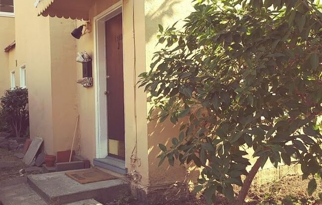 North side, quiet and spacious one bedroom is walking distance to the north side of the UC Berkeley Campus.