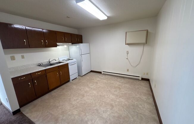 Studio, 1 bath, 500 sqft, $650, Unit 328